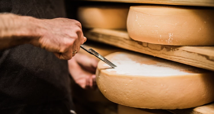 Warum Sie Ihren Käse direkt beim Produzenten erwerben sollten
